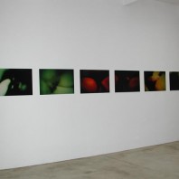 DSCN0260